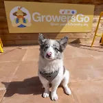 Auberge de jeunesse Growersgo Boutique
