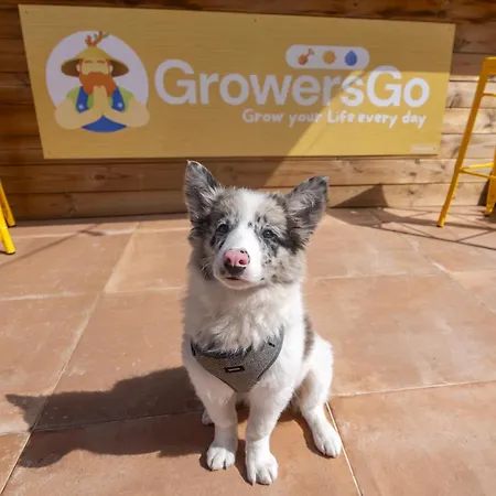 Hotel Growers Boutique